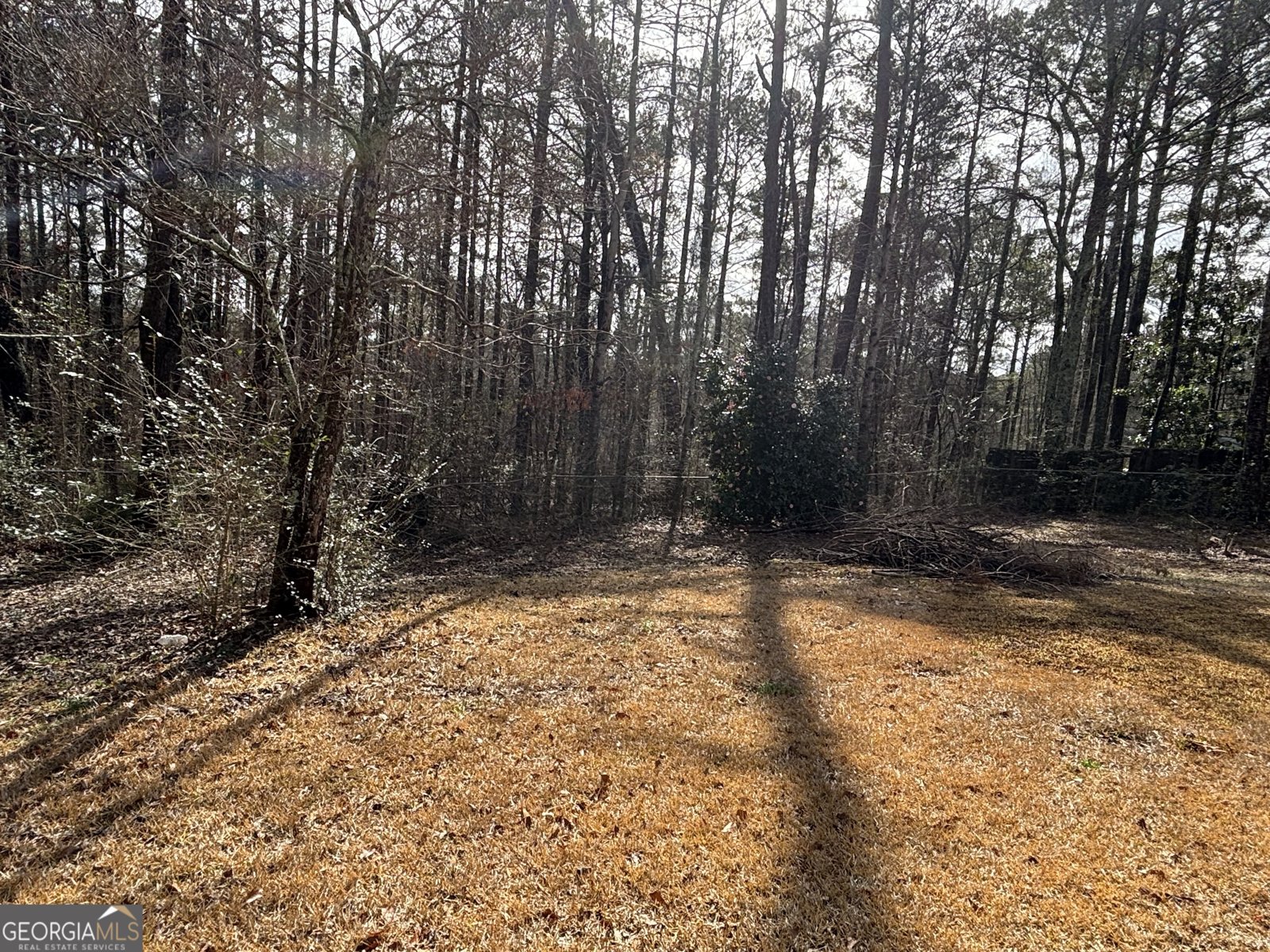 175 THIGPEN Road Newnan - 24