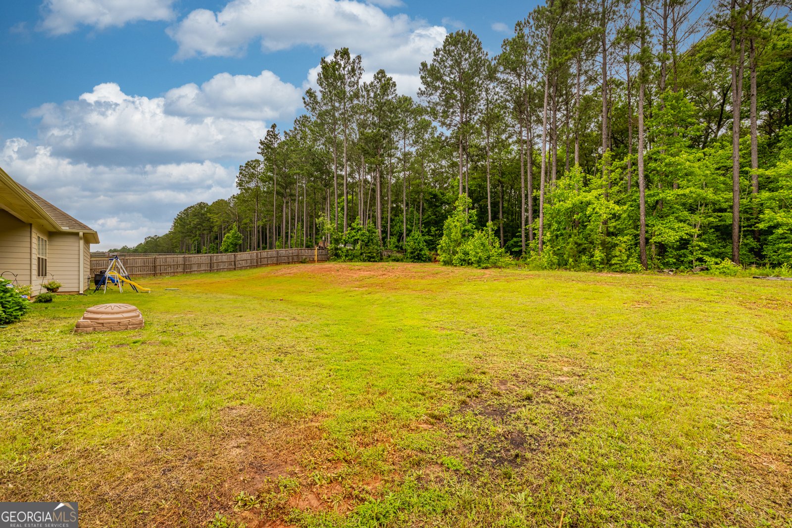216 Springdale Estates Drive Senoia - 5