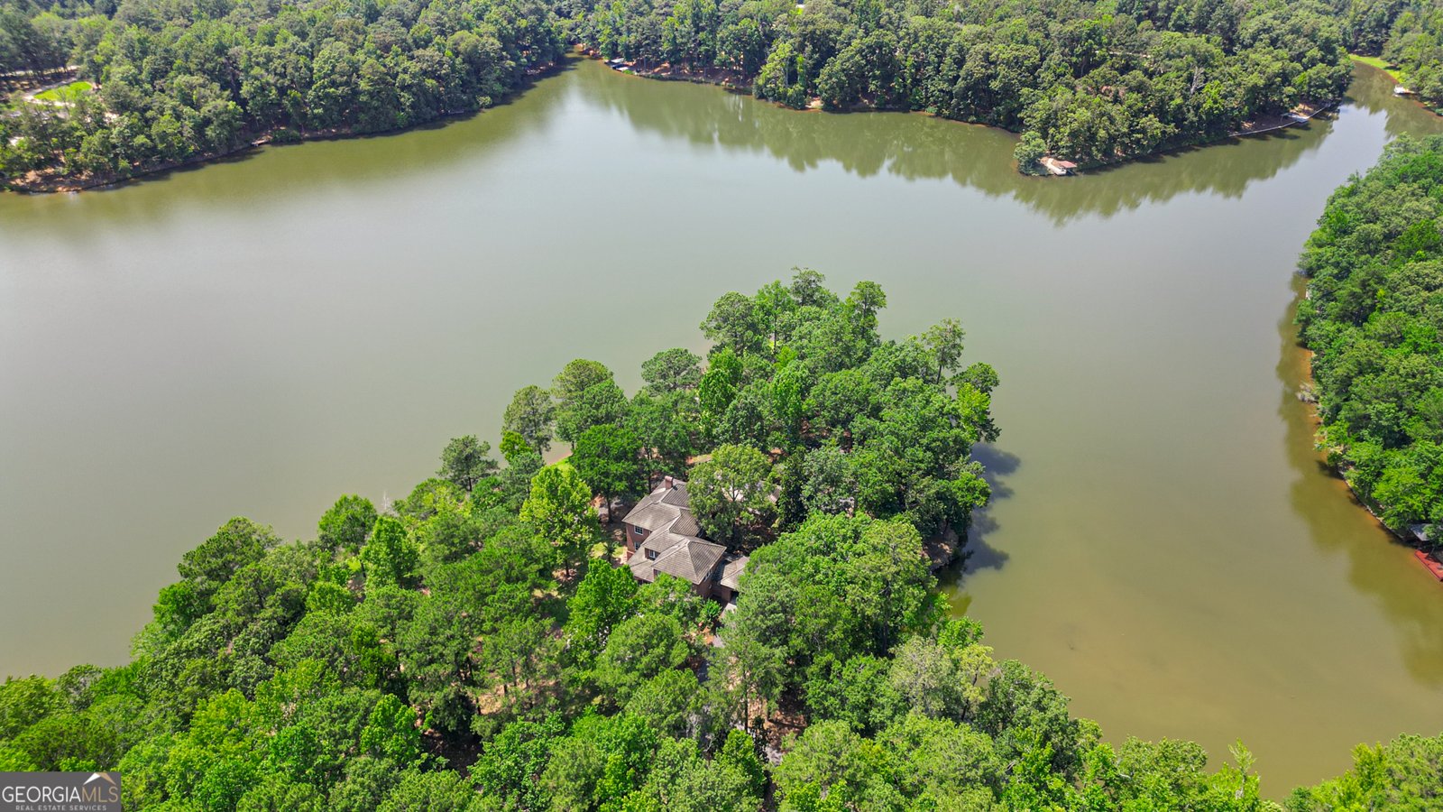 4043 Piedmont Lake Road Pine Mountain - 6
