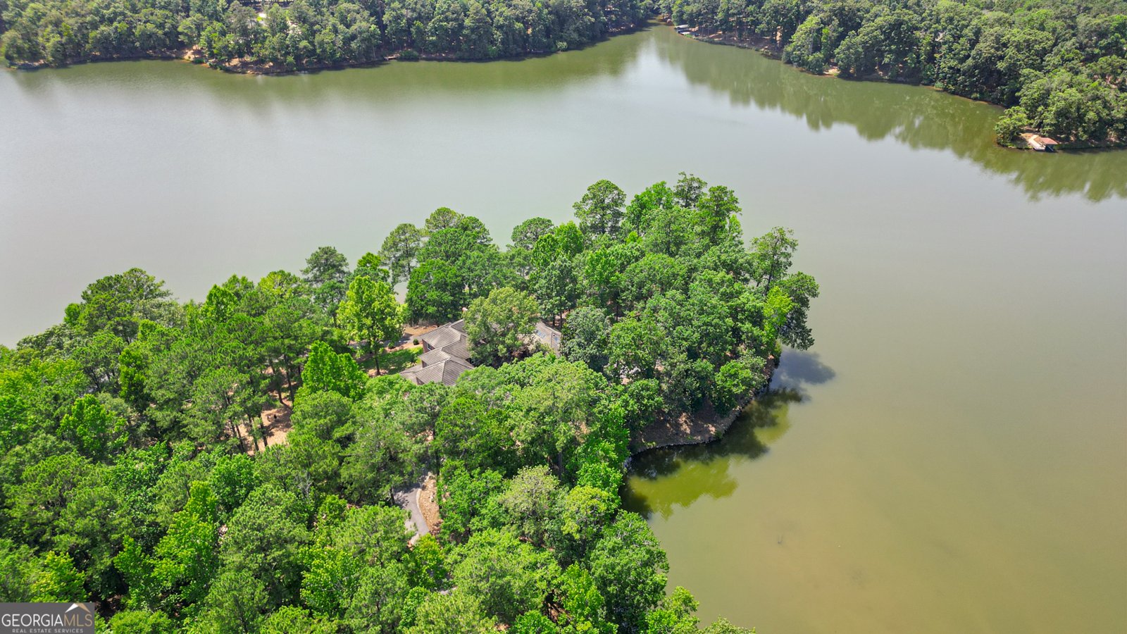 4043 Piedmont Lake Road Pine Mountain - 80