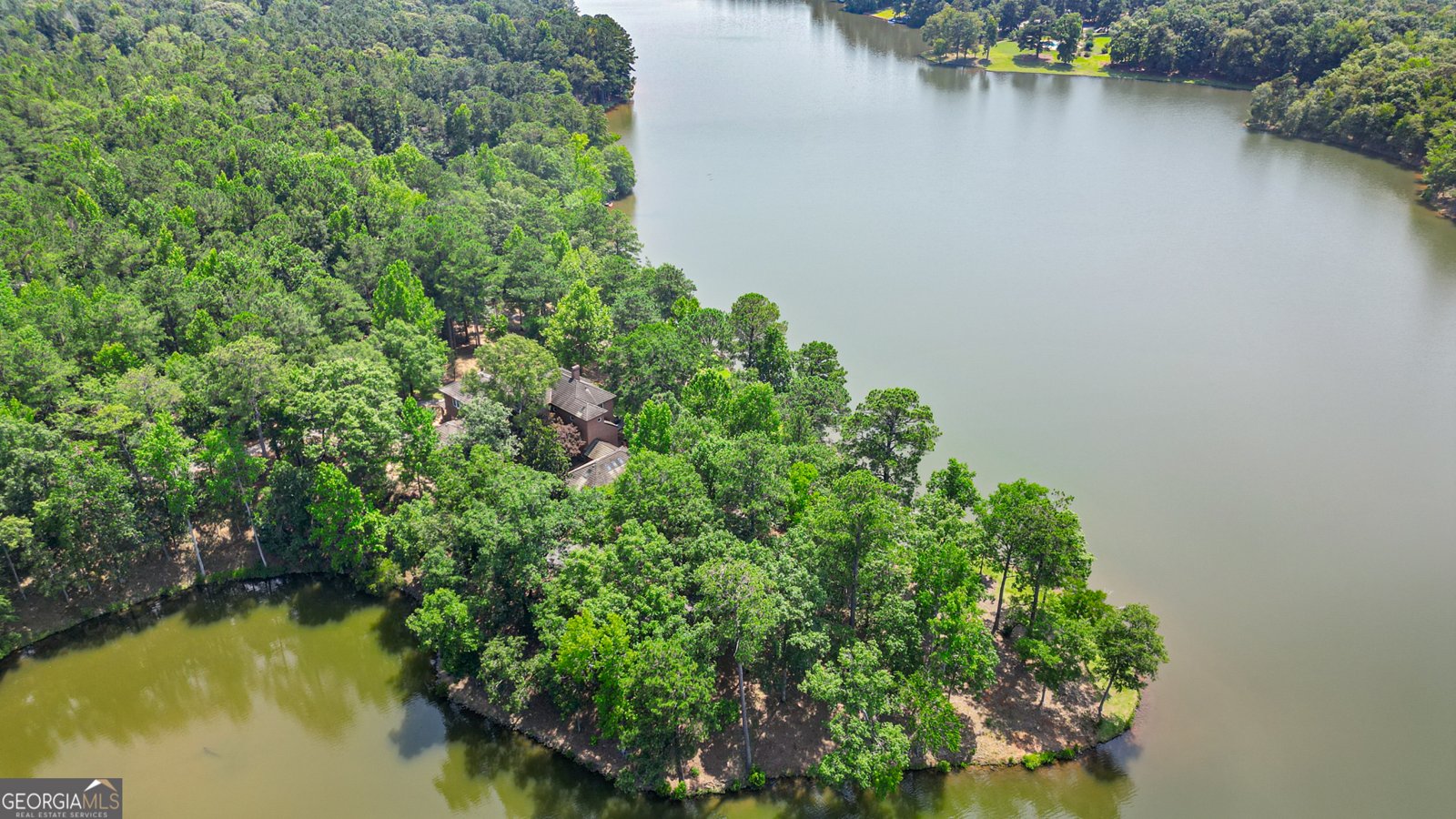 4043 Piedmont Lake Road Pine Mountain - 81