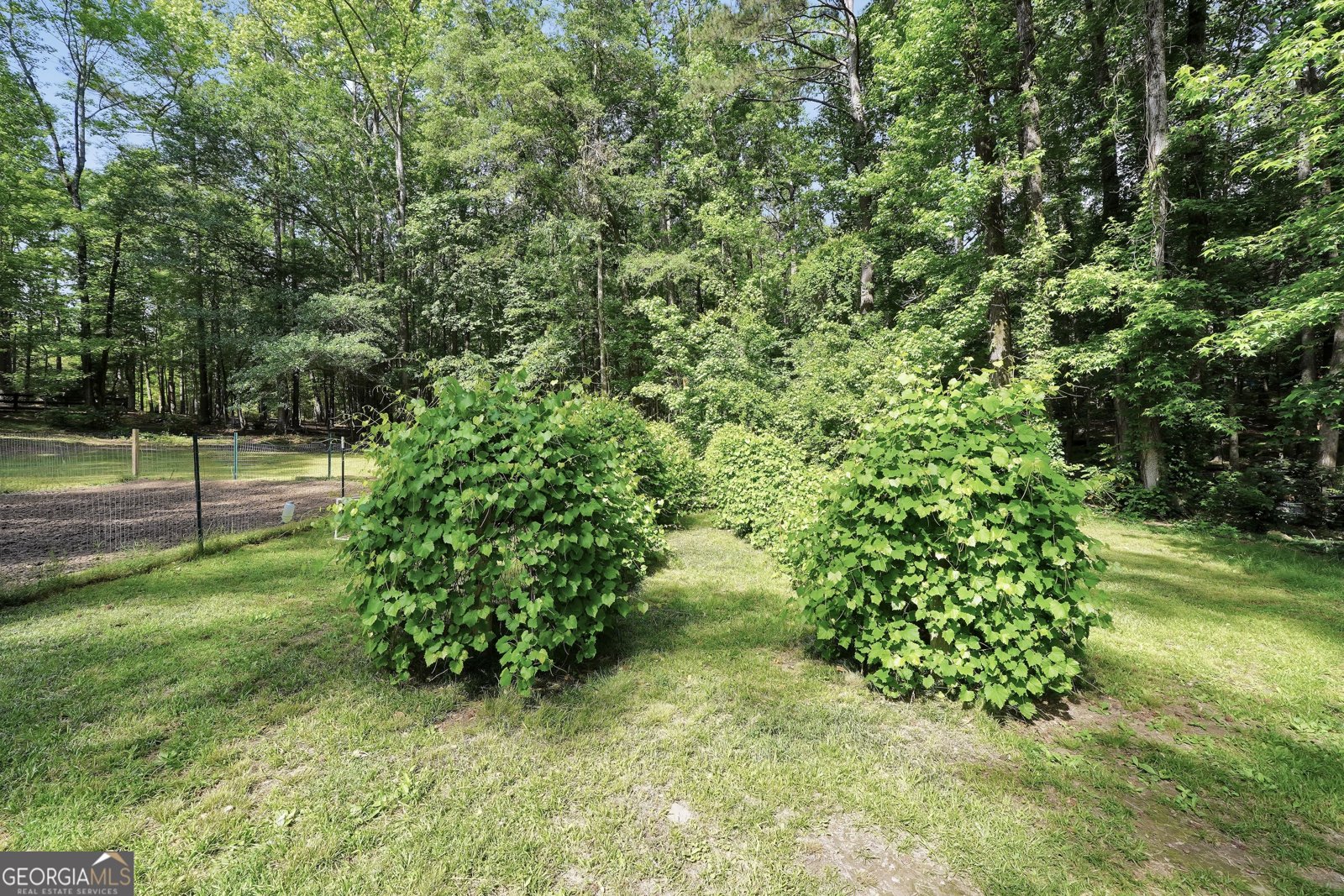 200 Camp Creek Trail Peachtree City - 93