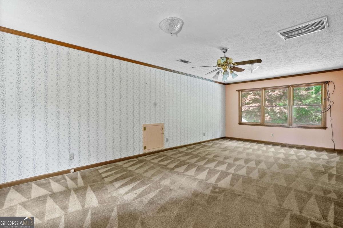 357 Breeze Hill Lane Canton - 46