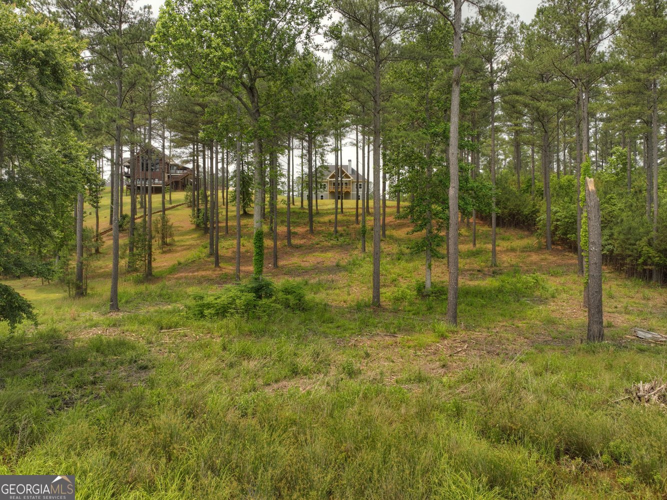 479 Sandy Lake Lane Blairsville - 14