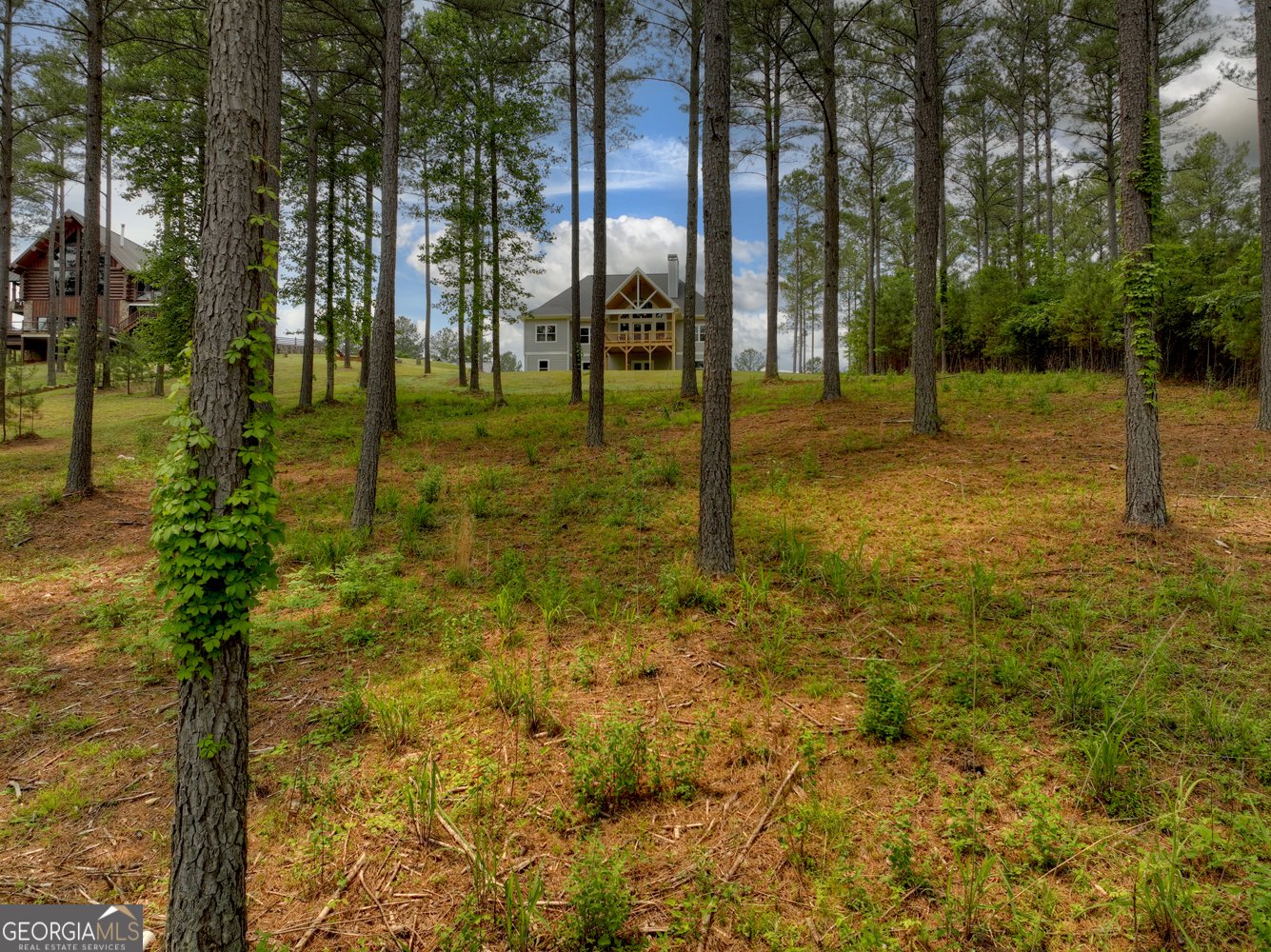 479 Sandy Lake Lane Blairsville - 16