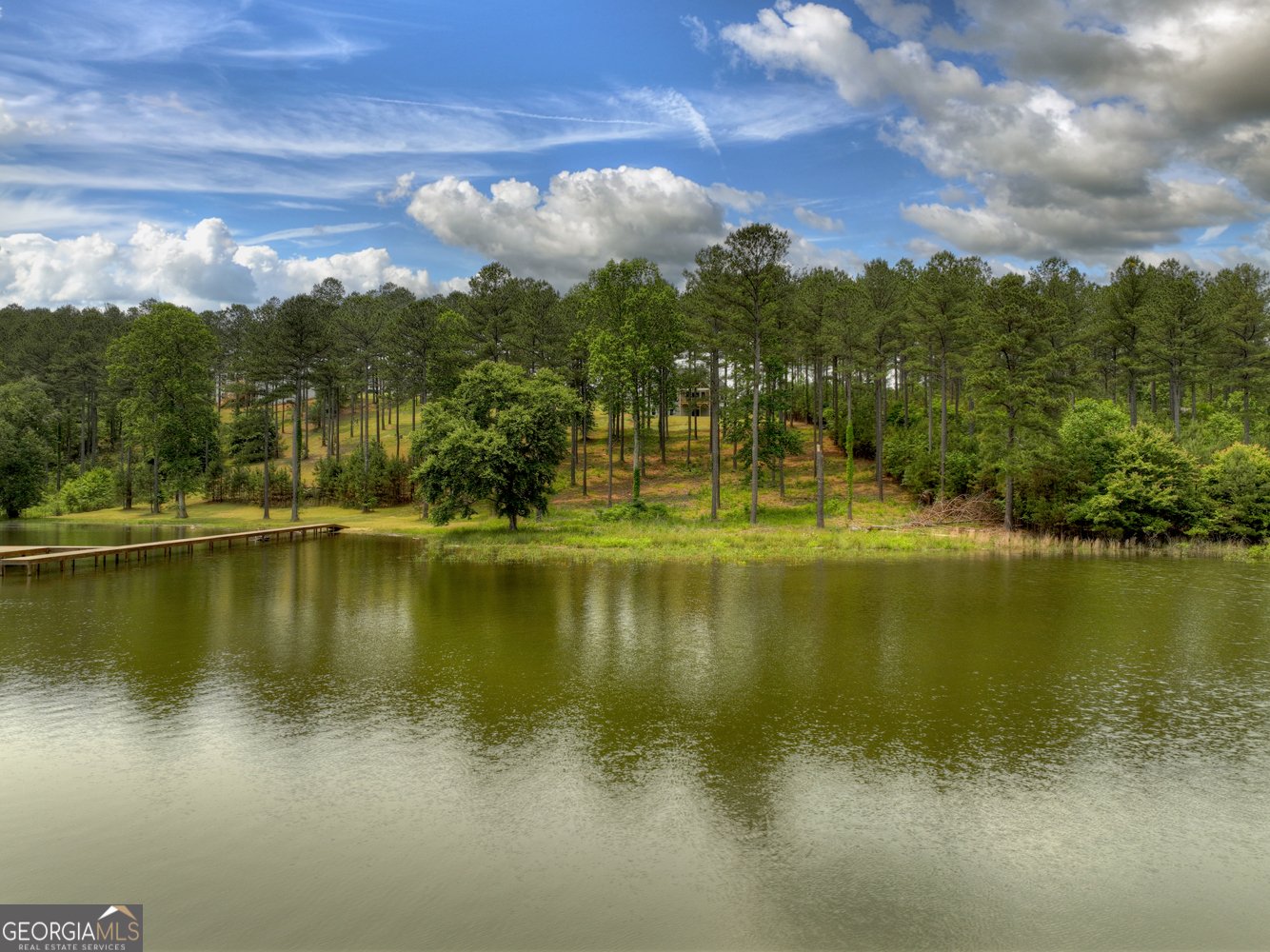479 Sandy Lake Lane Blairsville - 19