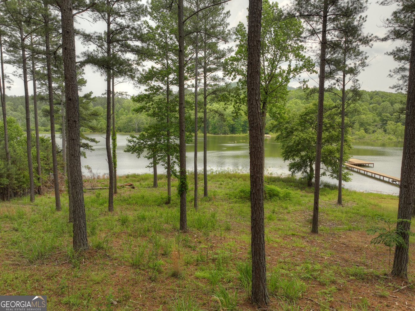 479 Sandy Lake Lane Blairsville - 21