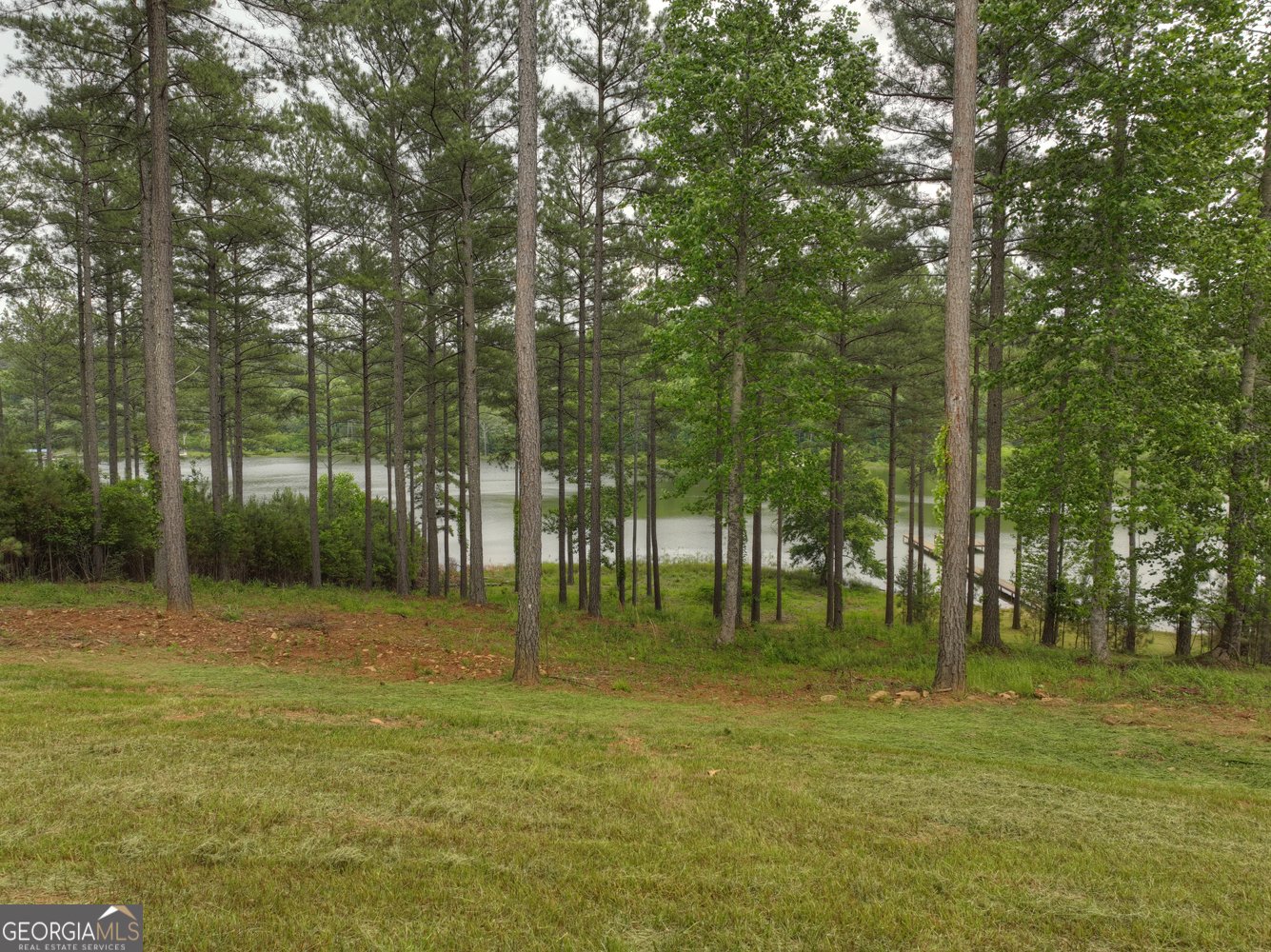 479 Sandy Lake Lane Blairsville - 23