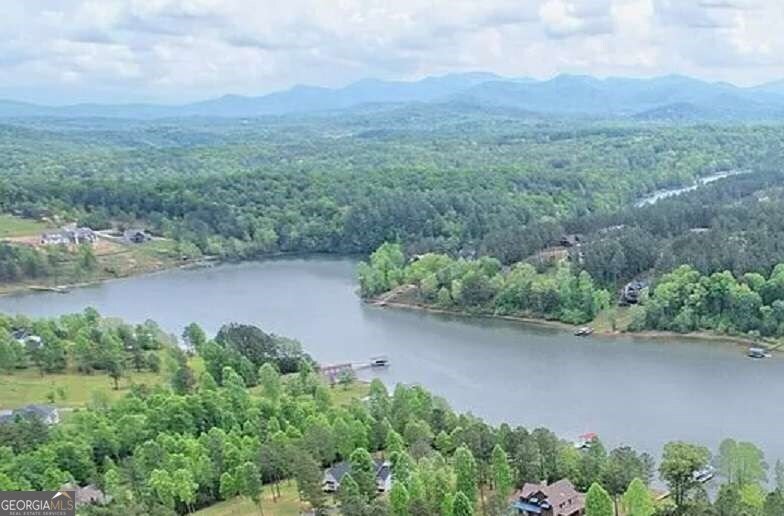 479 Sandy Lake Lane Blairsville - 3