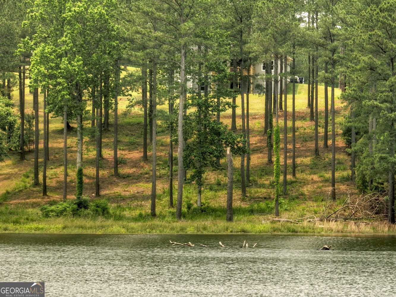 479 Sandy Lake Lane Blairsville - 32