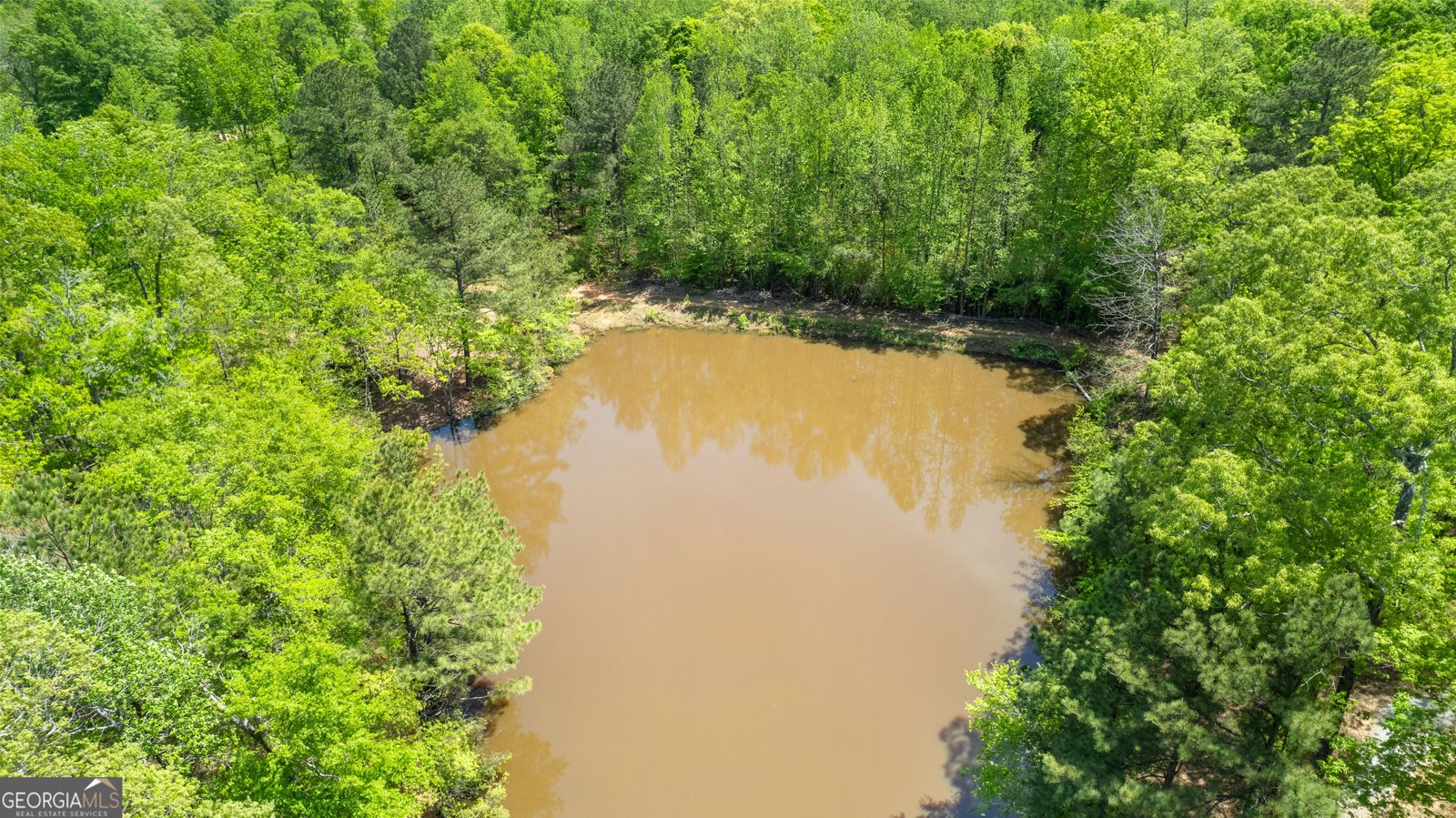 679 Bo Bo Banks Road Grantville - 16