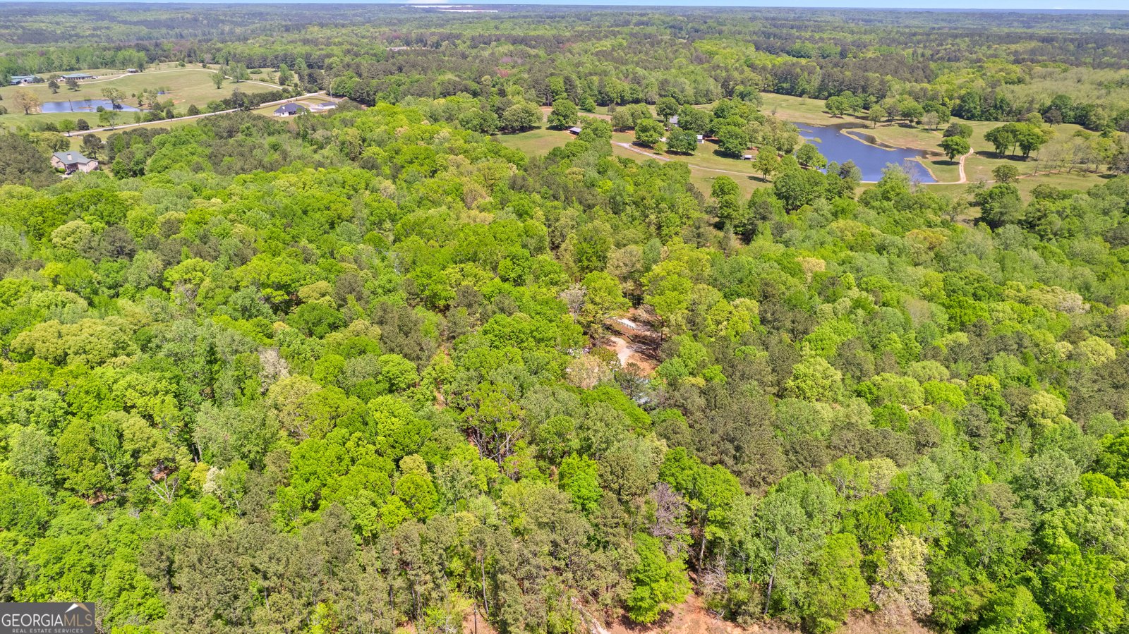 679 Bo Bo Banks Road Grantville - 24