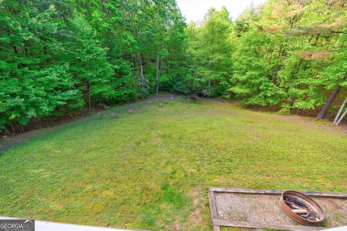 90 Loftis Mountain Way Blairsville - 59