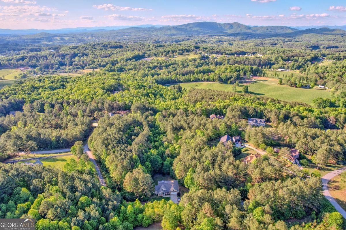 90 Loftis Mountain Way Blairsville - 60