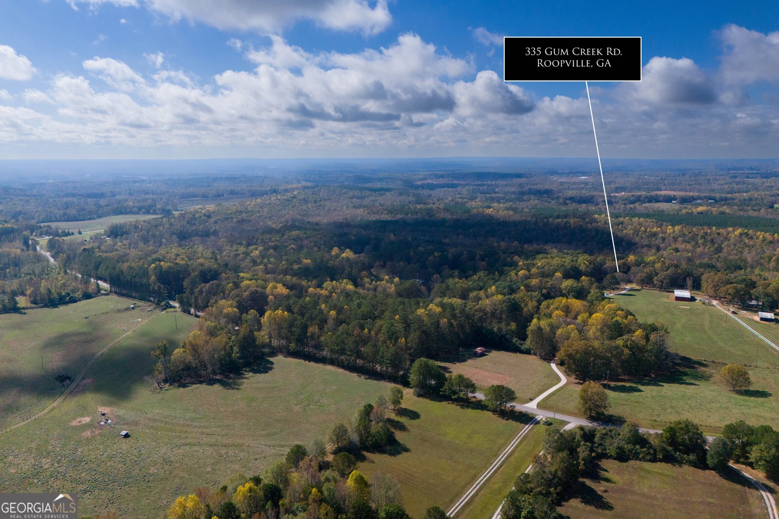 335 Gum Creek Road Roopville - 49