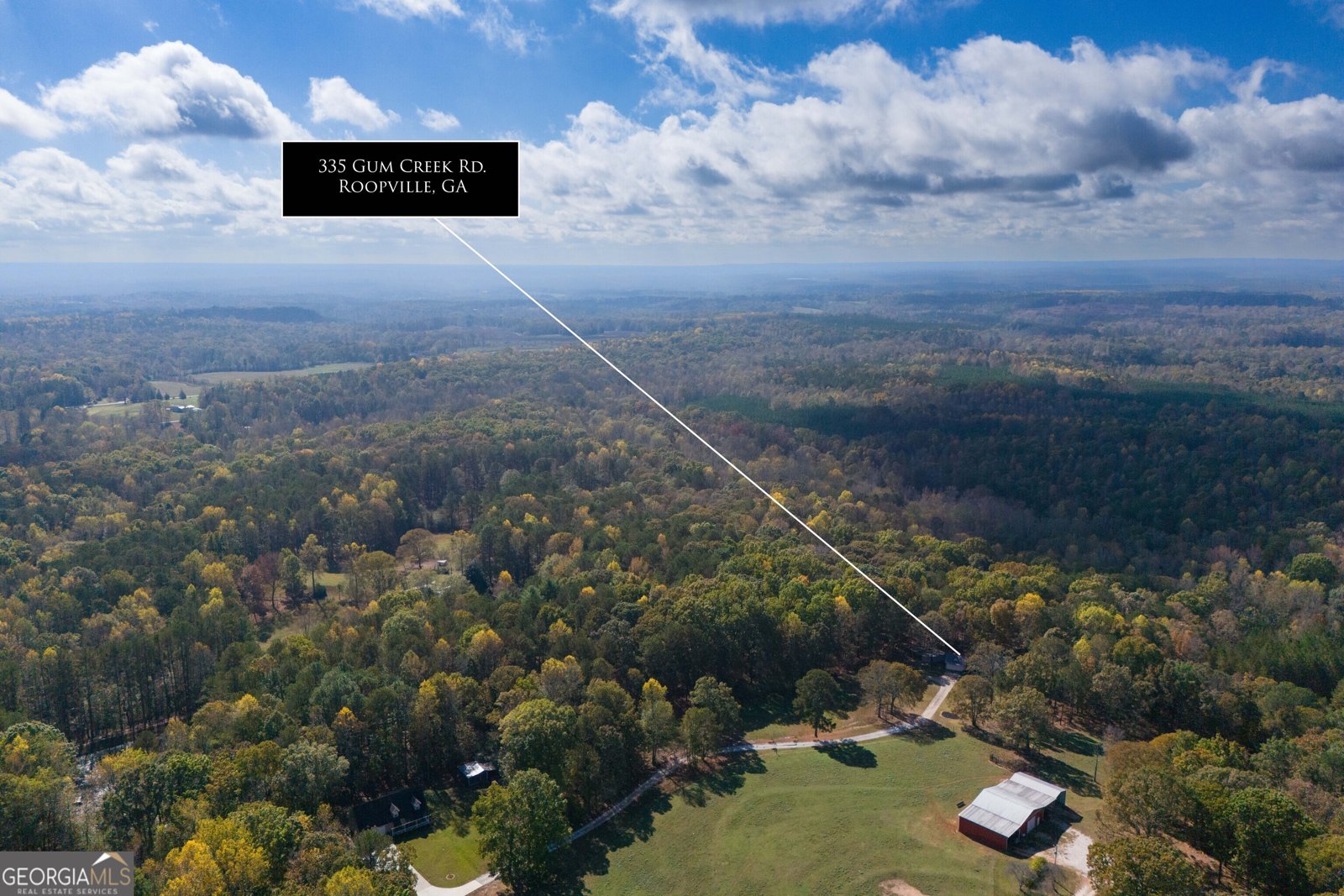335 Gum Creek Road Roopville - 50