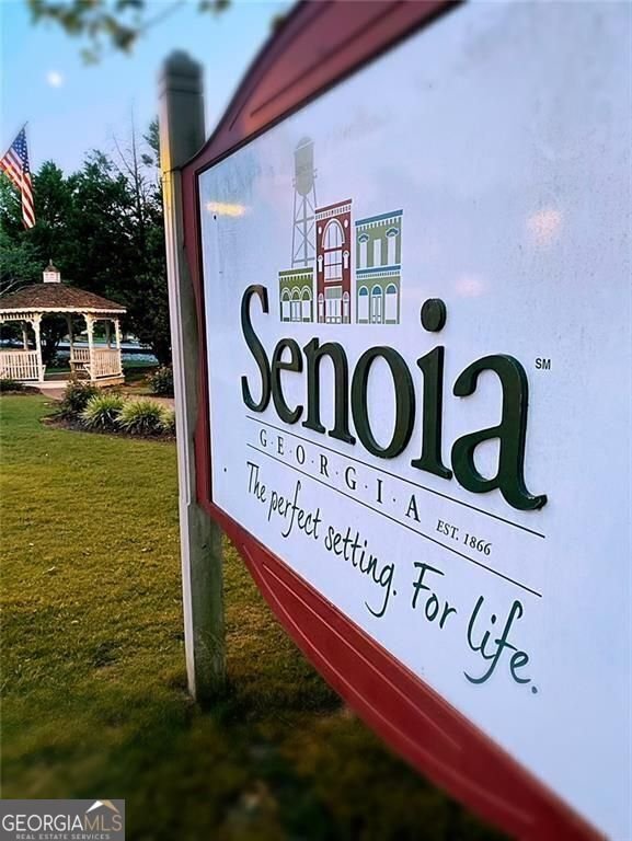 126 Morgan Street Senoia - 19