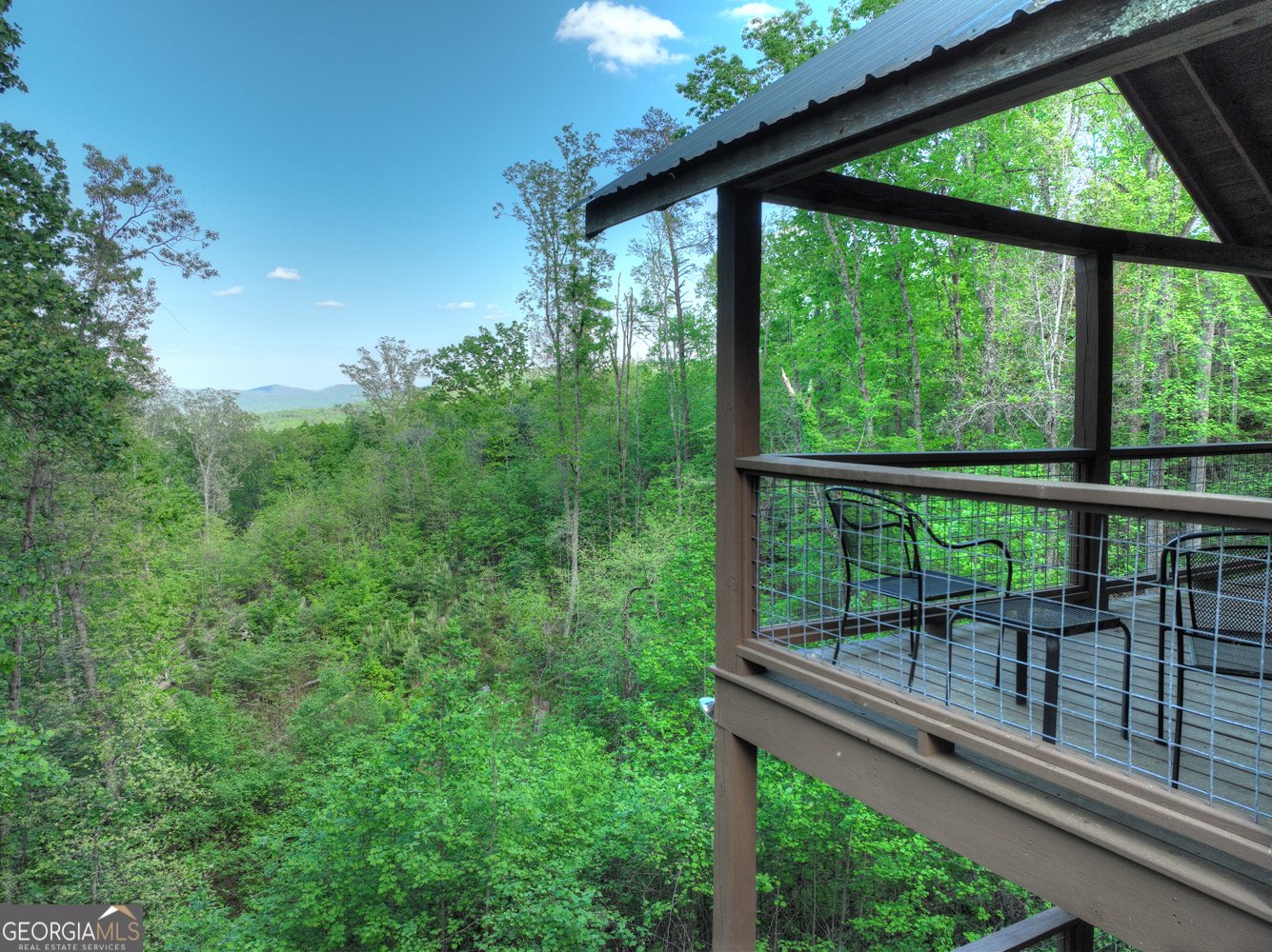 840 Deer Crest Road Blue Ridge - 21