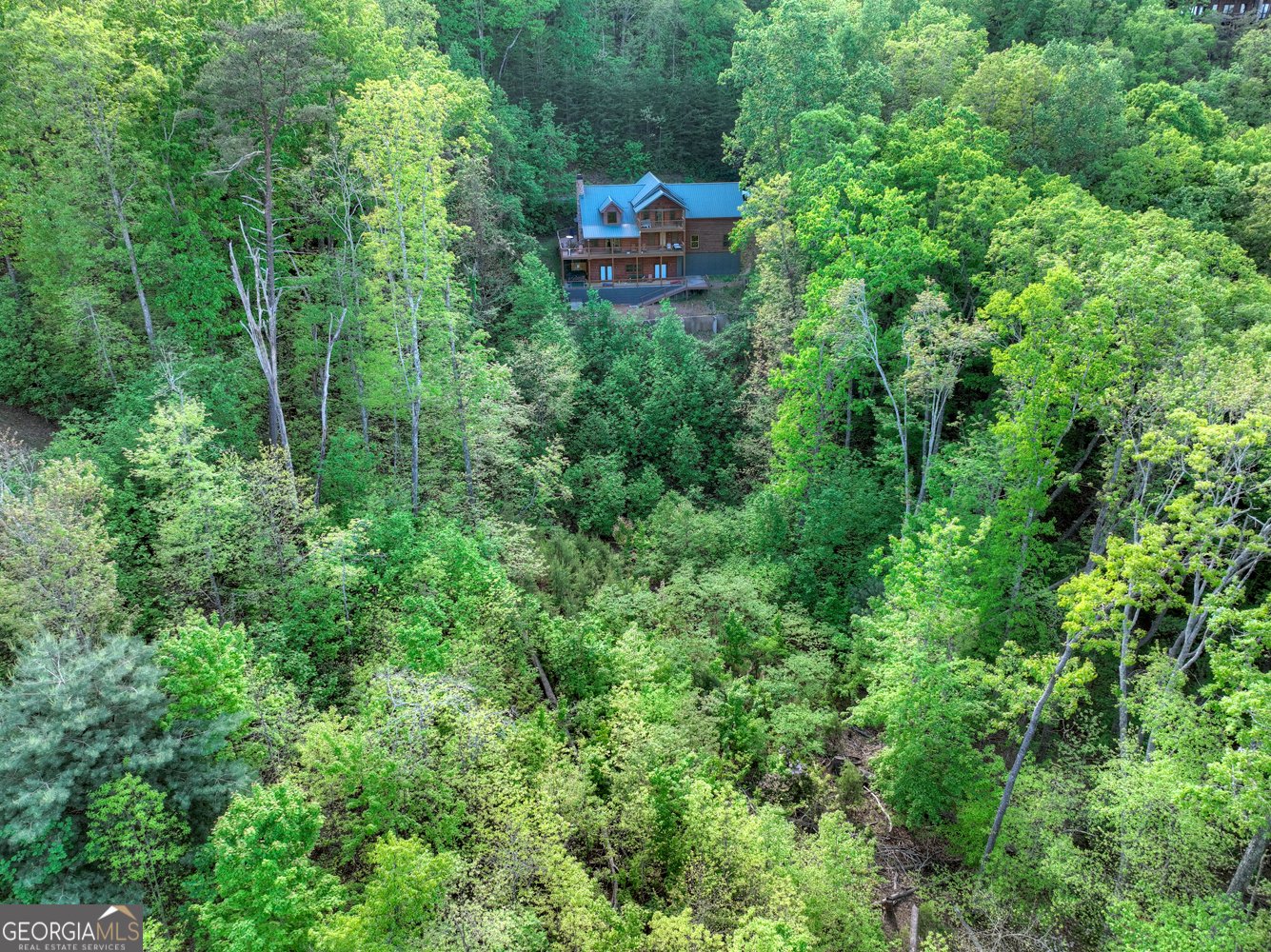 840 Deer Crest Road Blue Ridge - 25