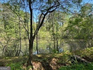 1053 ALLGOOD Road Stone Mountain - 10