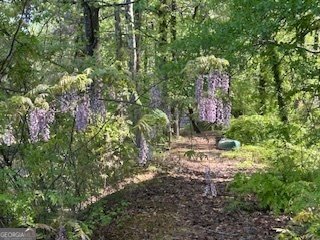 1053 ALLGOOD Road Stone Mountain - 11