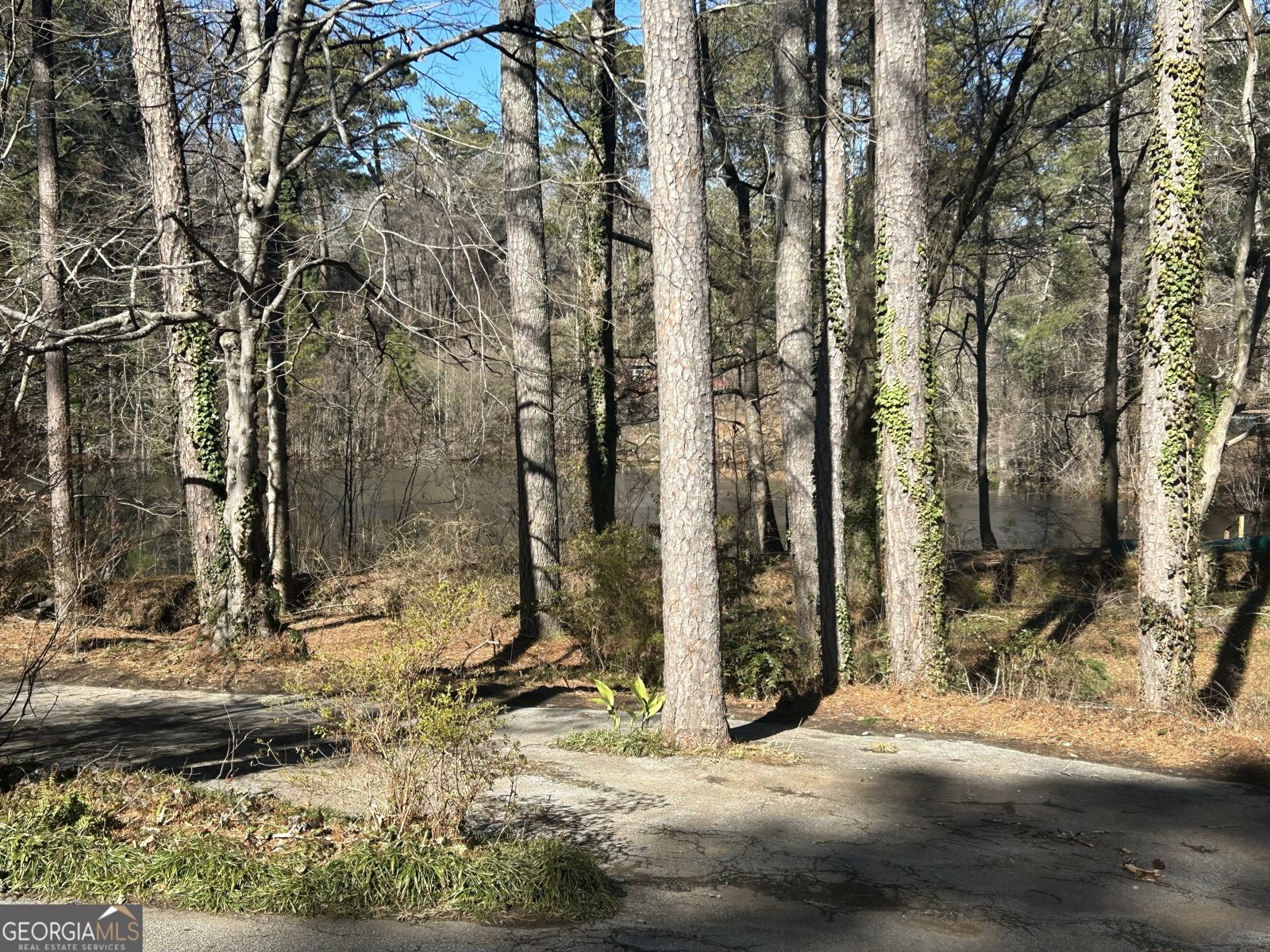 1053 ALLGOOD Road Stone Mountain - 27