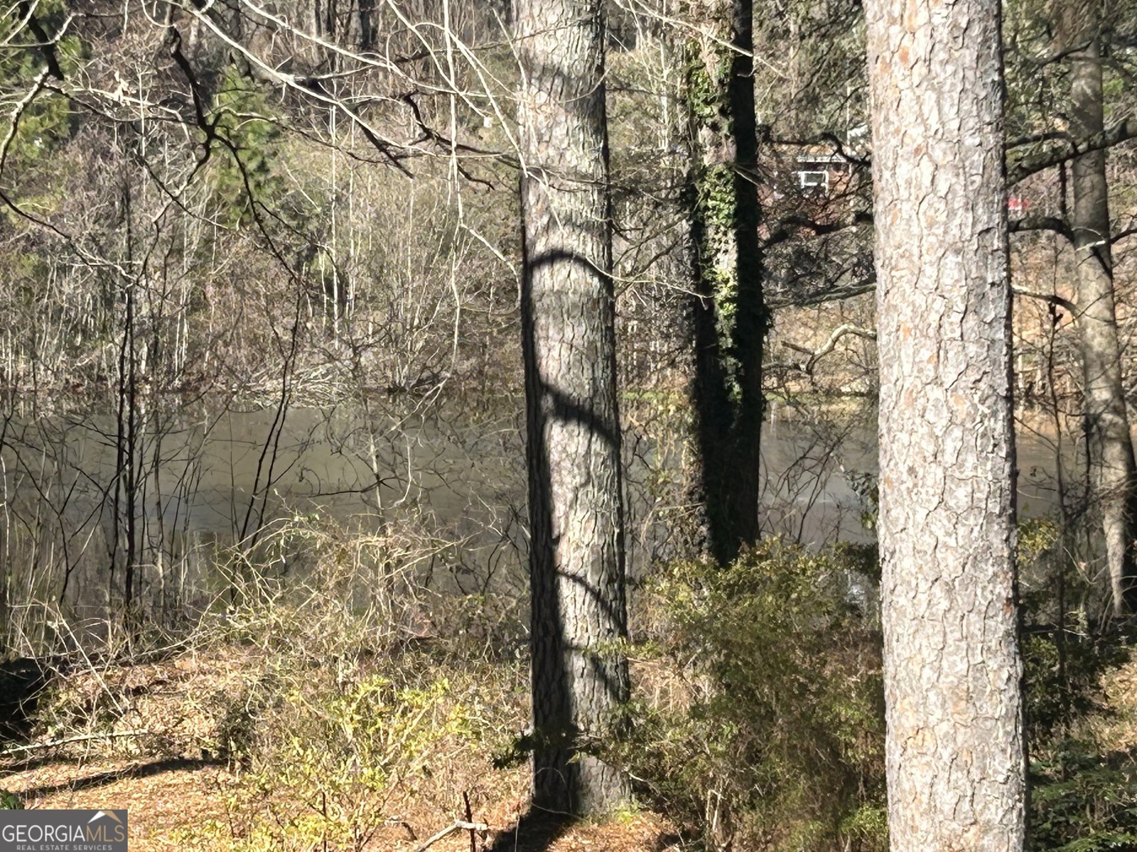 1053 ALLGOOD Road Stone Mountain - 28