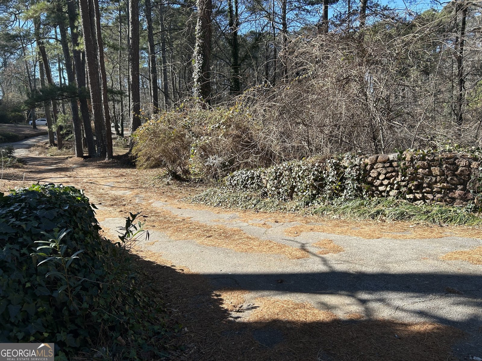 1053 ALLGOOD Road Stone Mountain - 30