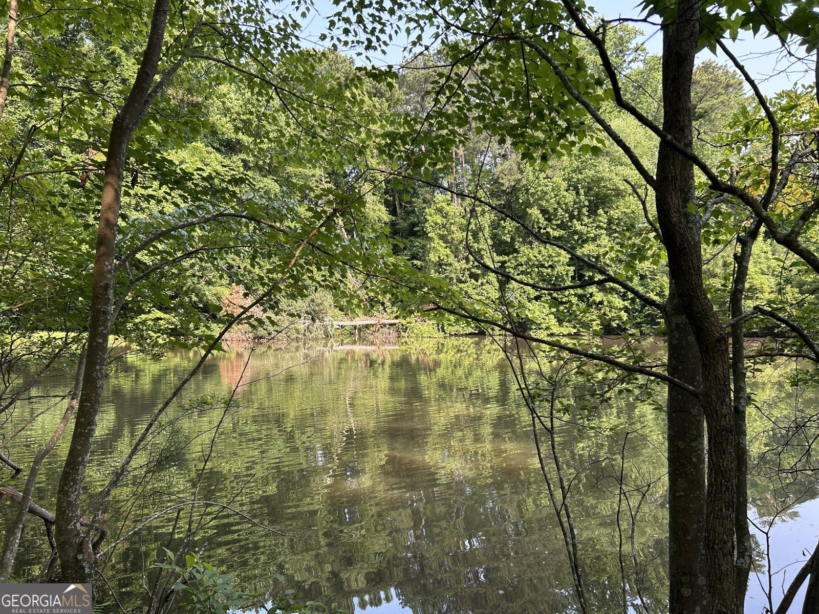 1053 ALLGOOD Road Stone Mountain - 5
