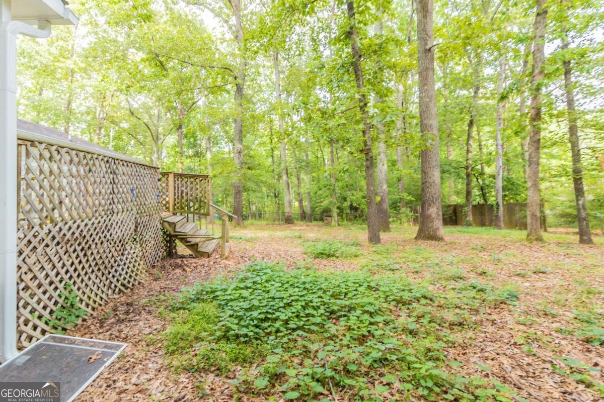 4507 Laurie Lane Powder Springs - 22
