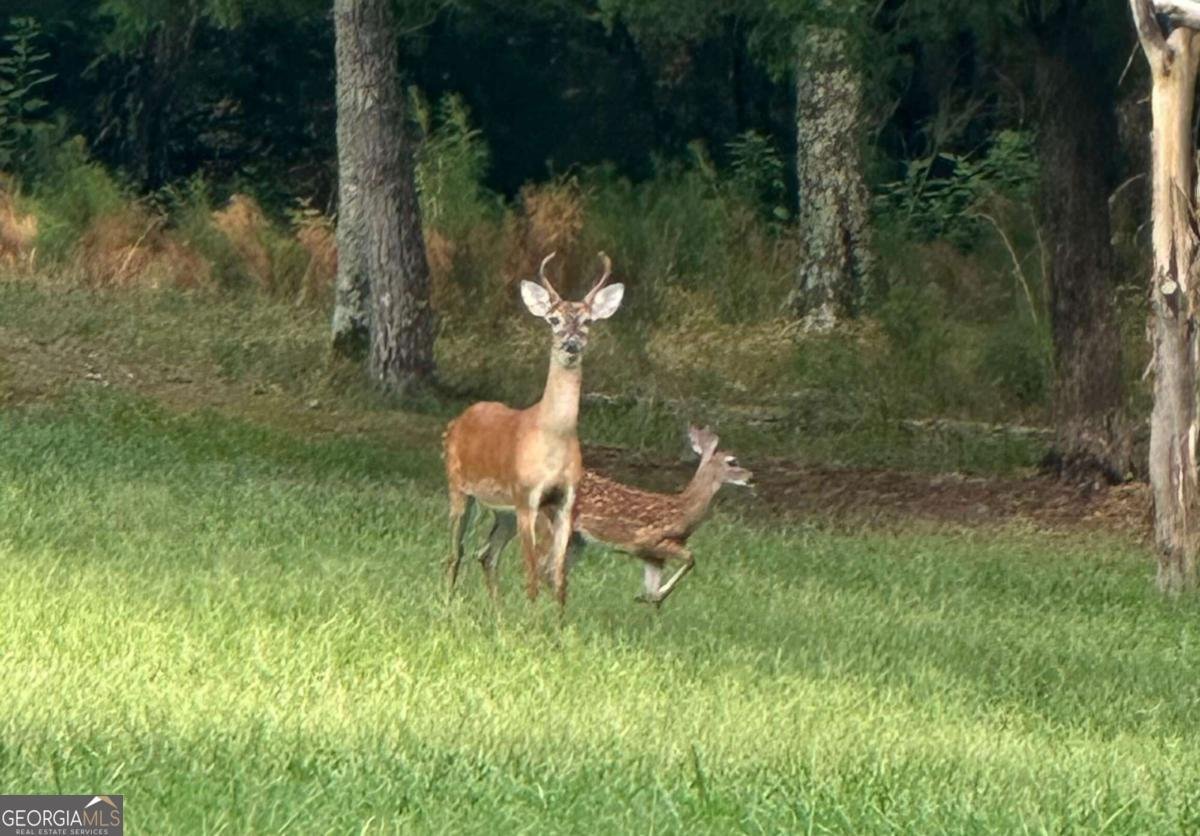 2150 Bobby Brown State Park Road Elberton - 35