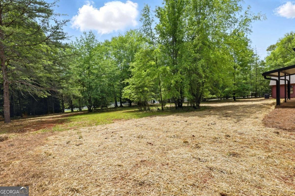 8091 Beachwood Drive Murrayville - 27