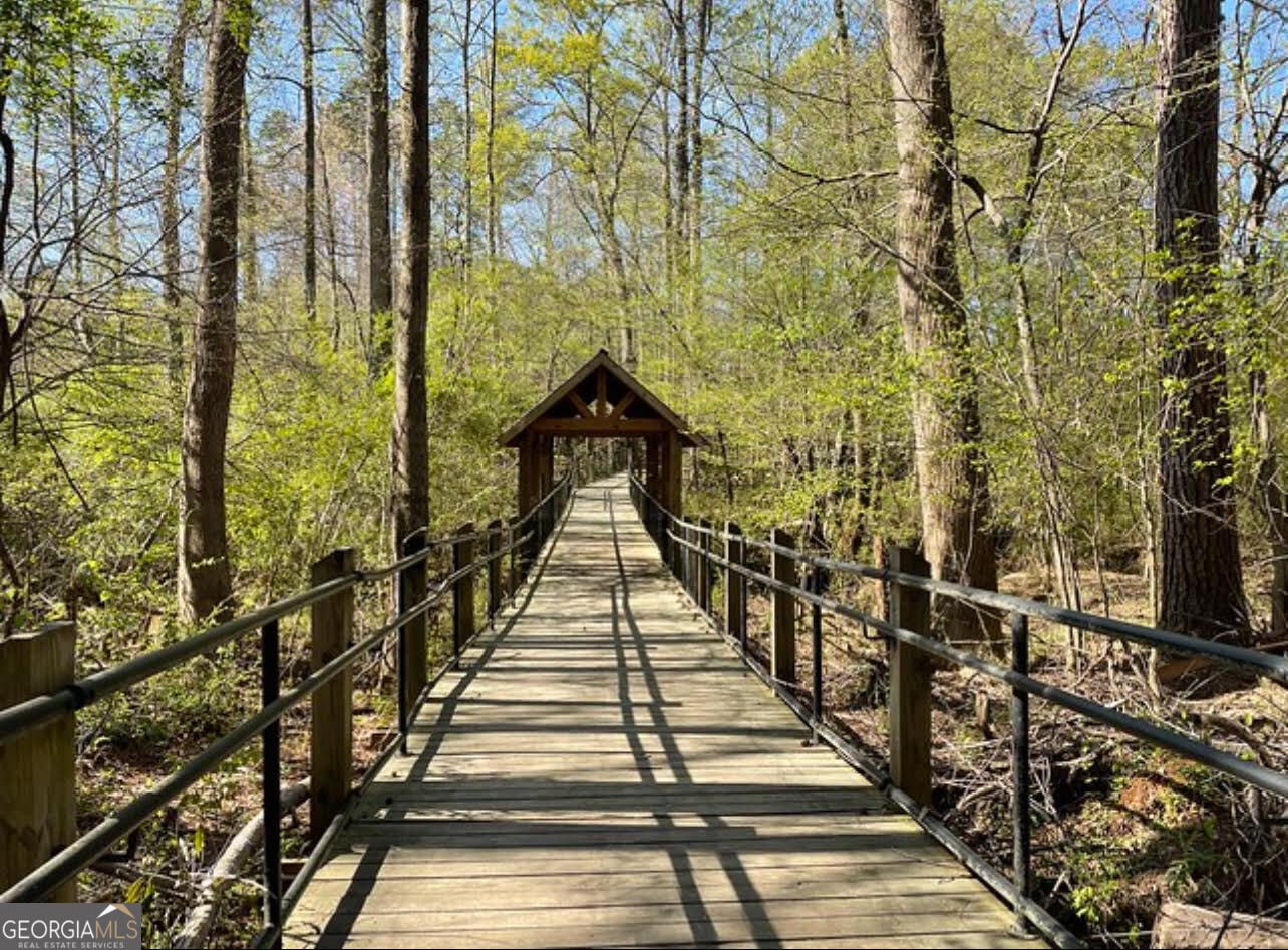 225 Ruby Forest Parkway Suwanee - 67