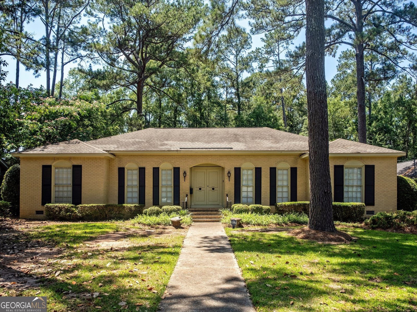 1231 Hilltop Drive Albany - 1