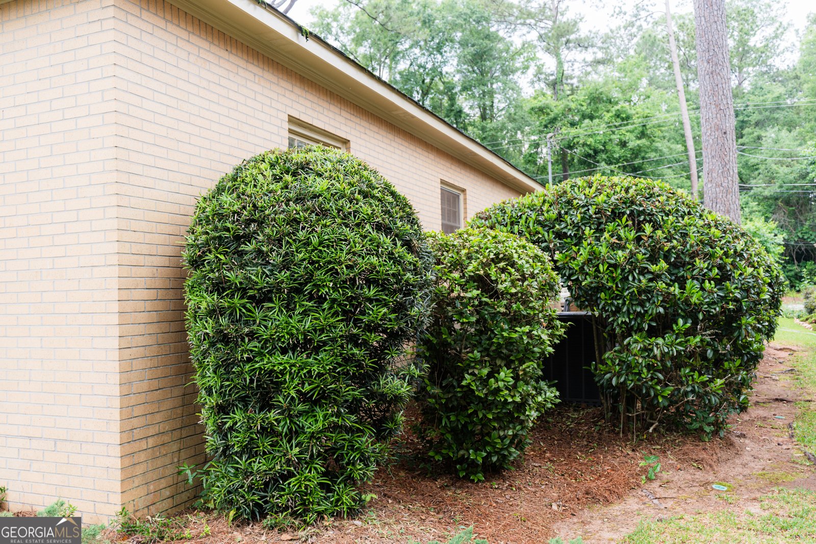 1231 Hilltop Drive Albany - 13