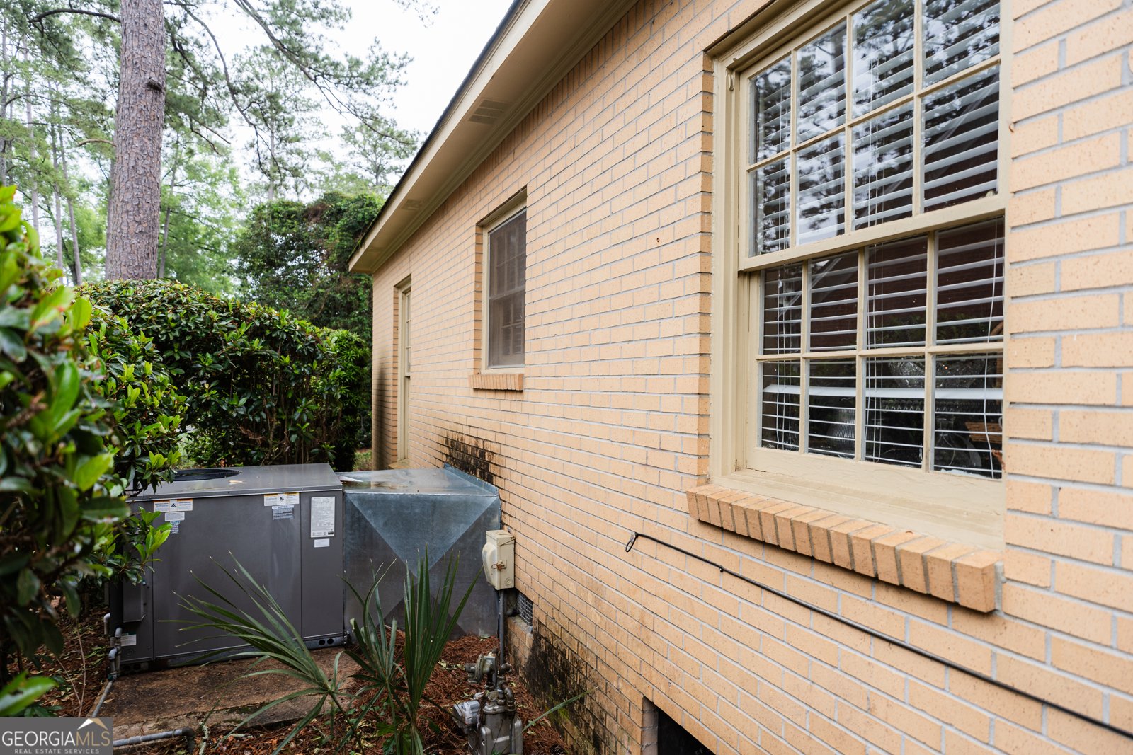 1231 Hilltop Drive Albany - 15