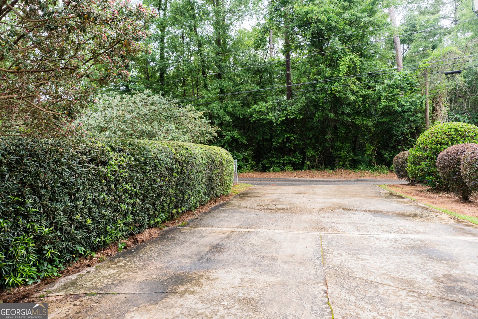 1231 Hilltop Drive Albany - 17