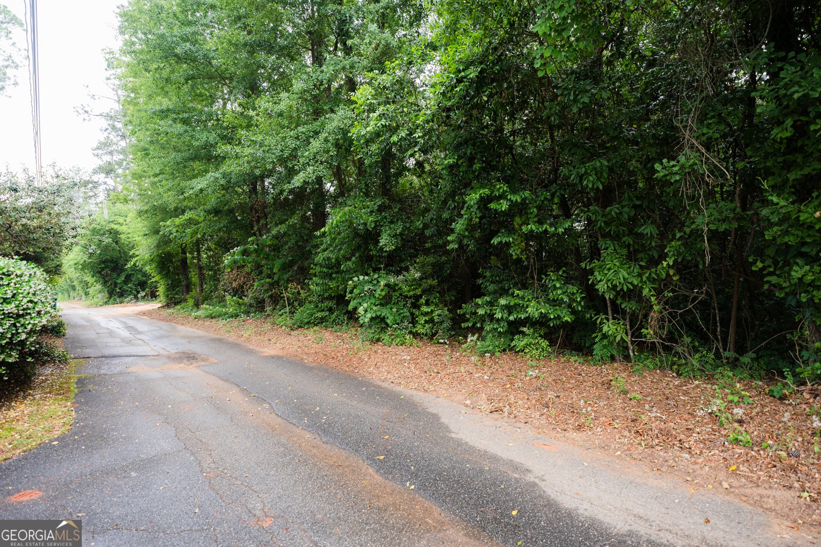 1231 Hilltop Drive Albany - 18