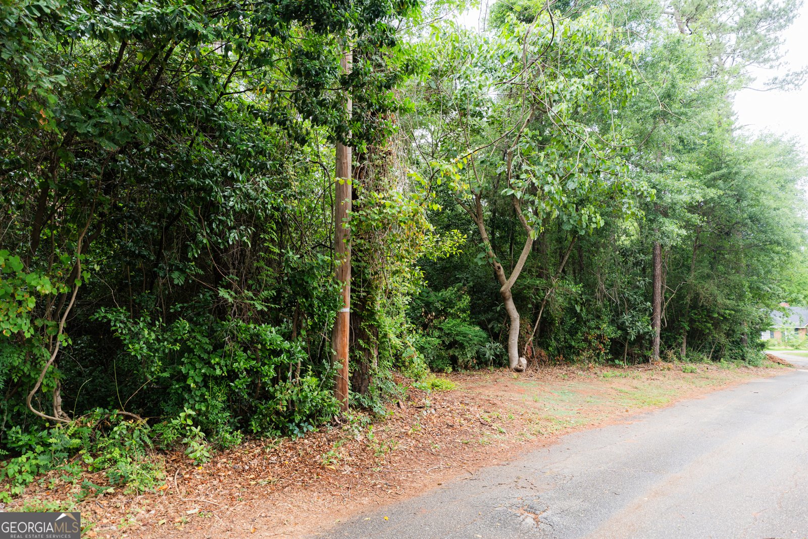 1231 Hilltop Drive Albany - 19