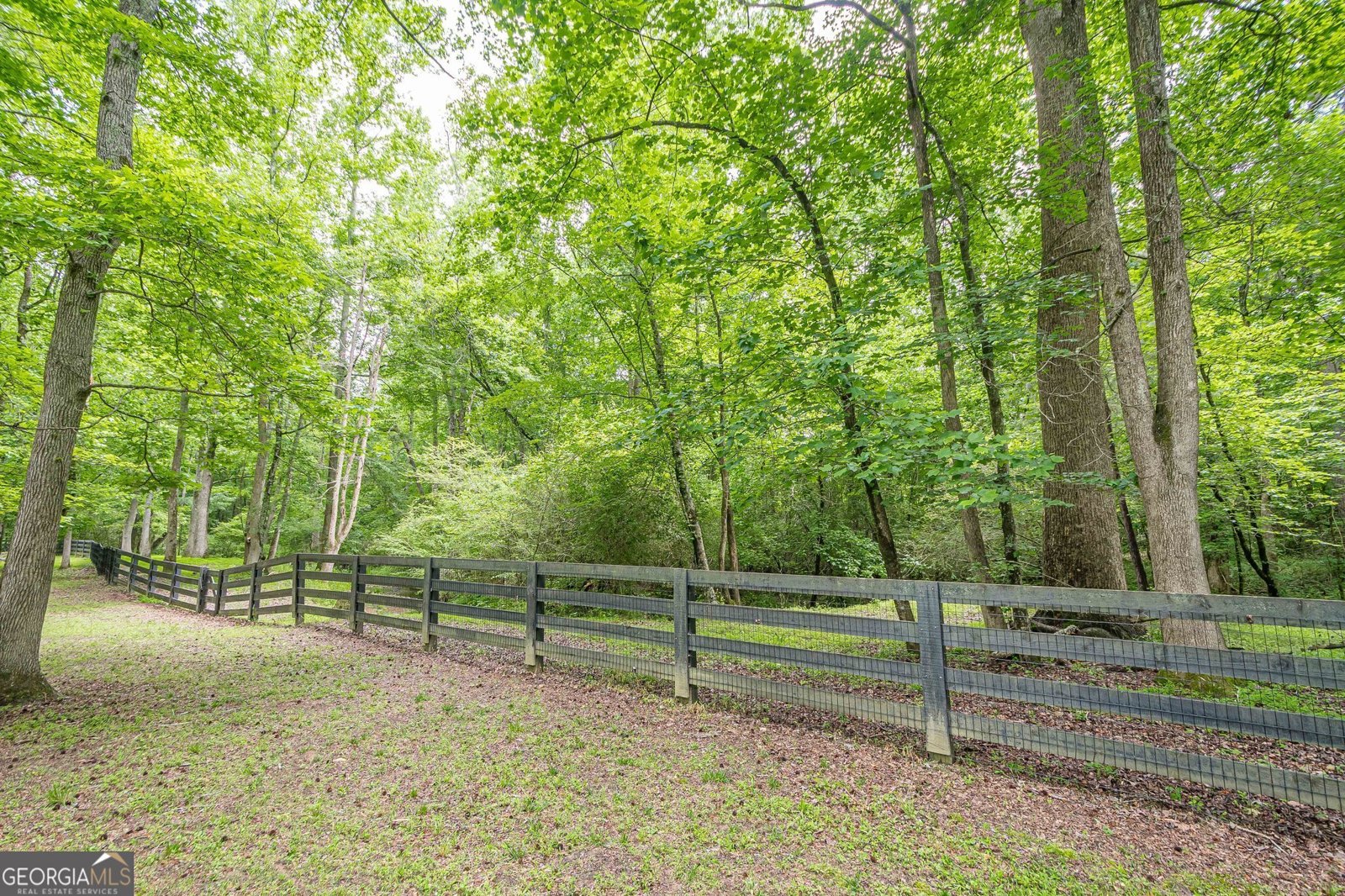 210 Little River Farms Trail Canton - 81