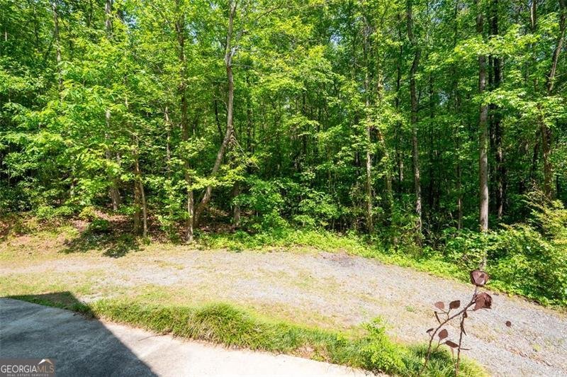 465 WILLOWBROOK Drive Smyrna - 60