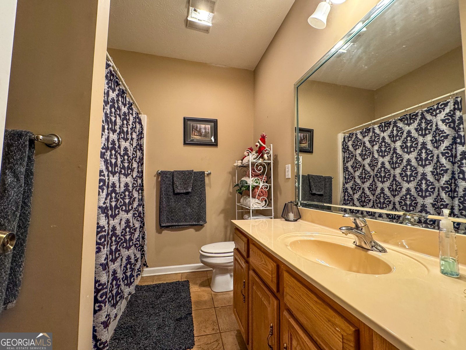 355 Meadowbrook Lane Carrollton - 22