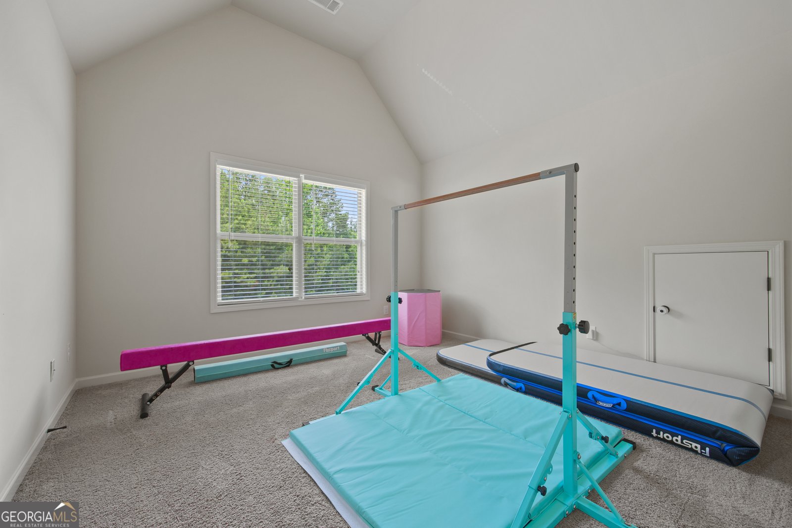 237 Arborview Drive Mcdonough - 26