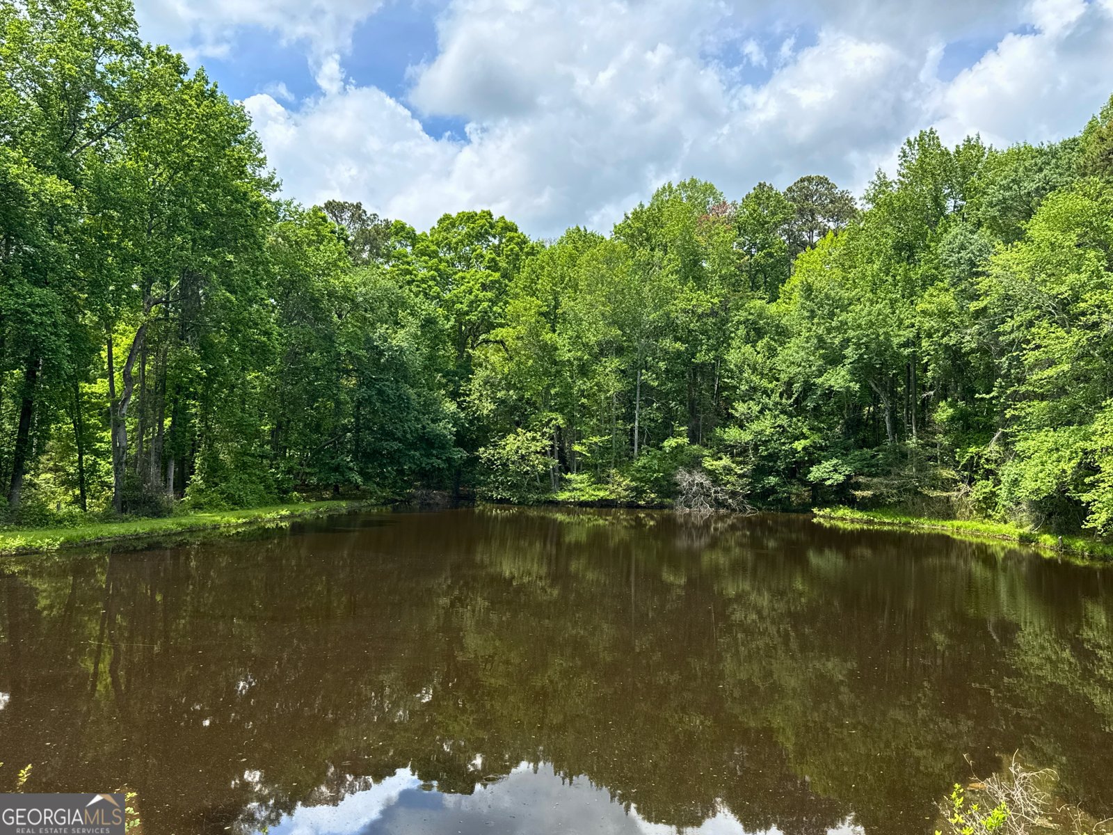 3340 Zingara Road Conyers - 64