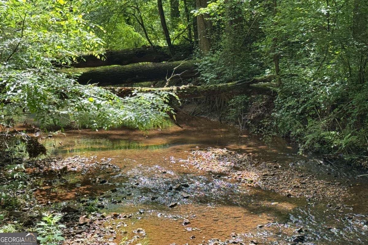 355 Clark Creek Pass Acworth - 47