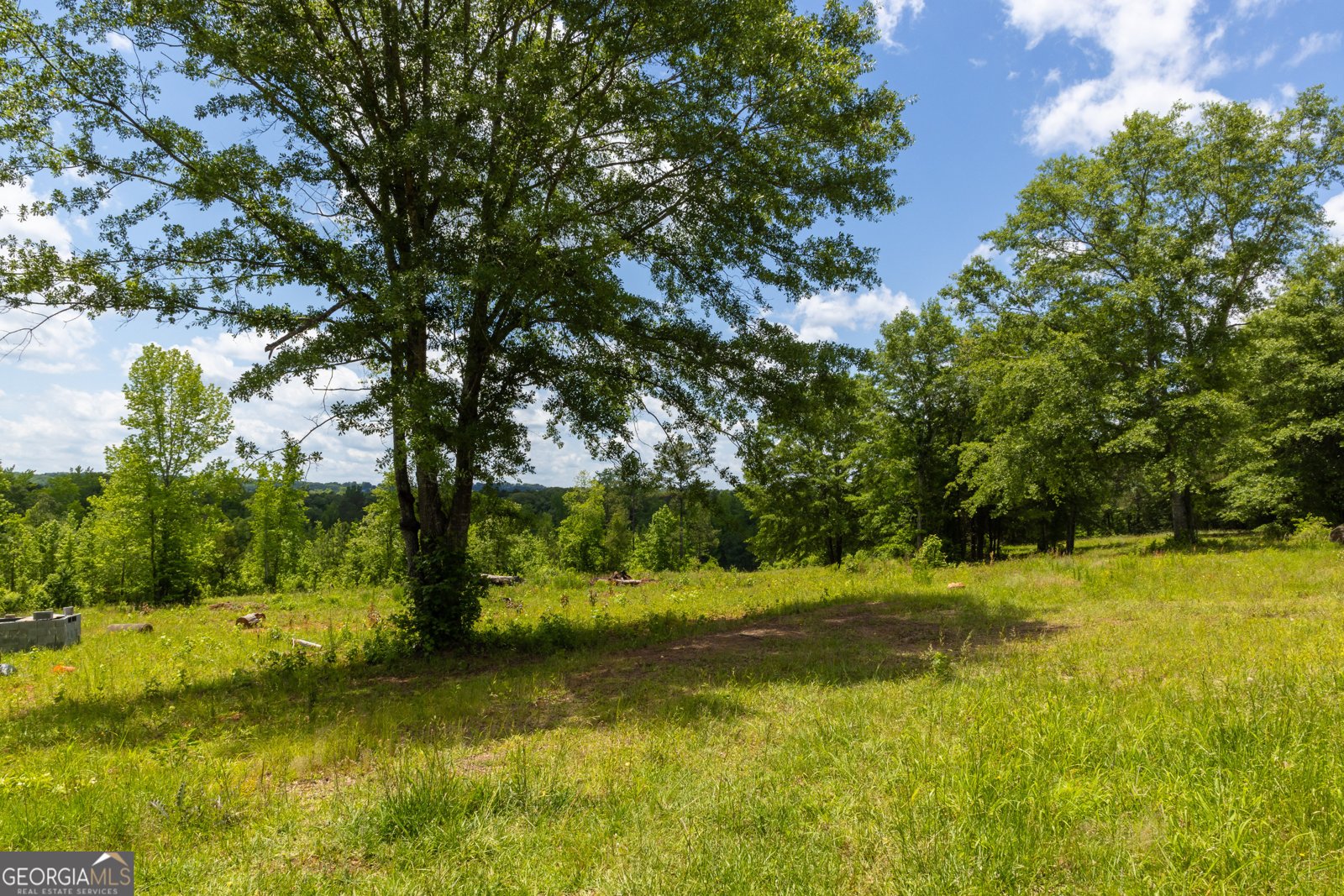 655 White Road Thomaston - 19
