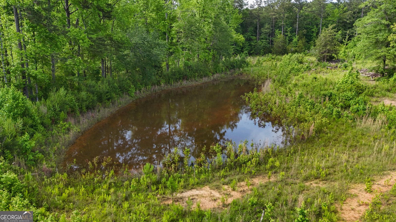 655 White Road Thomaston - 6