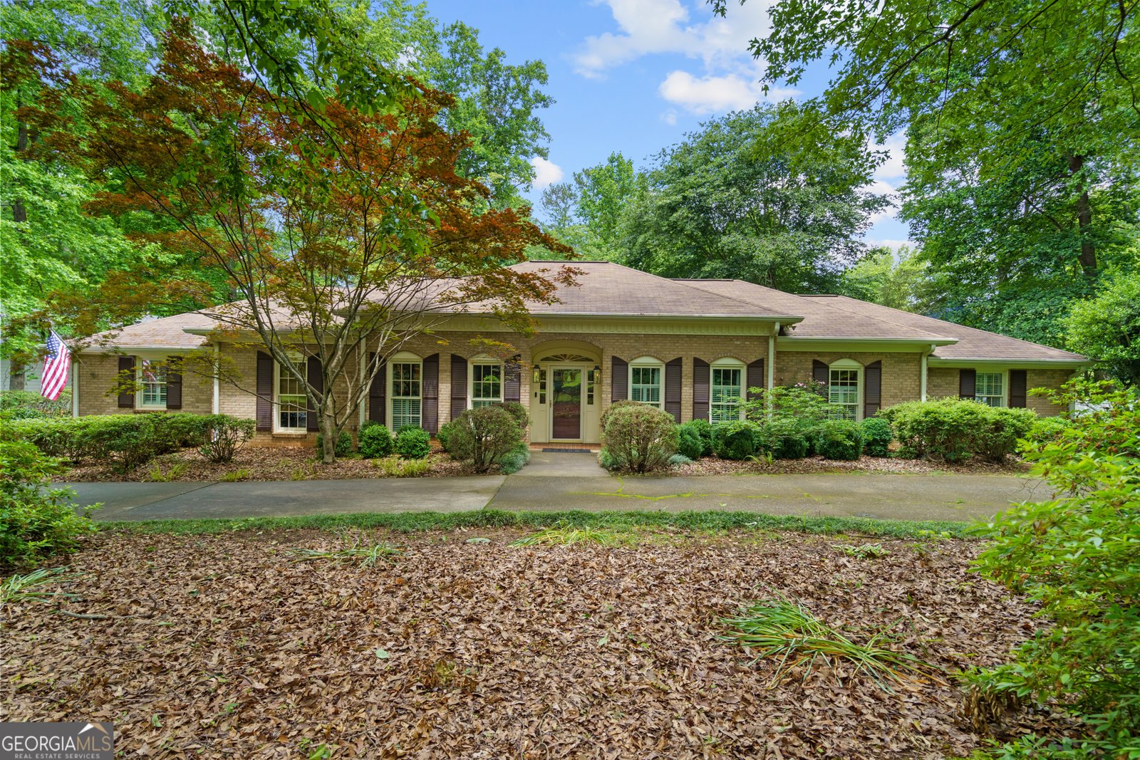 11190 Hembree Springs Drive Roswell - 1