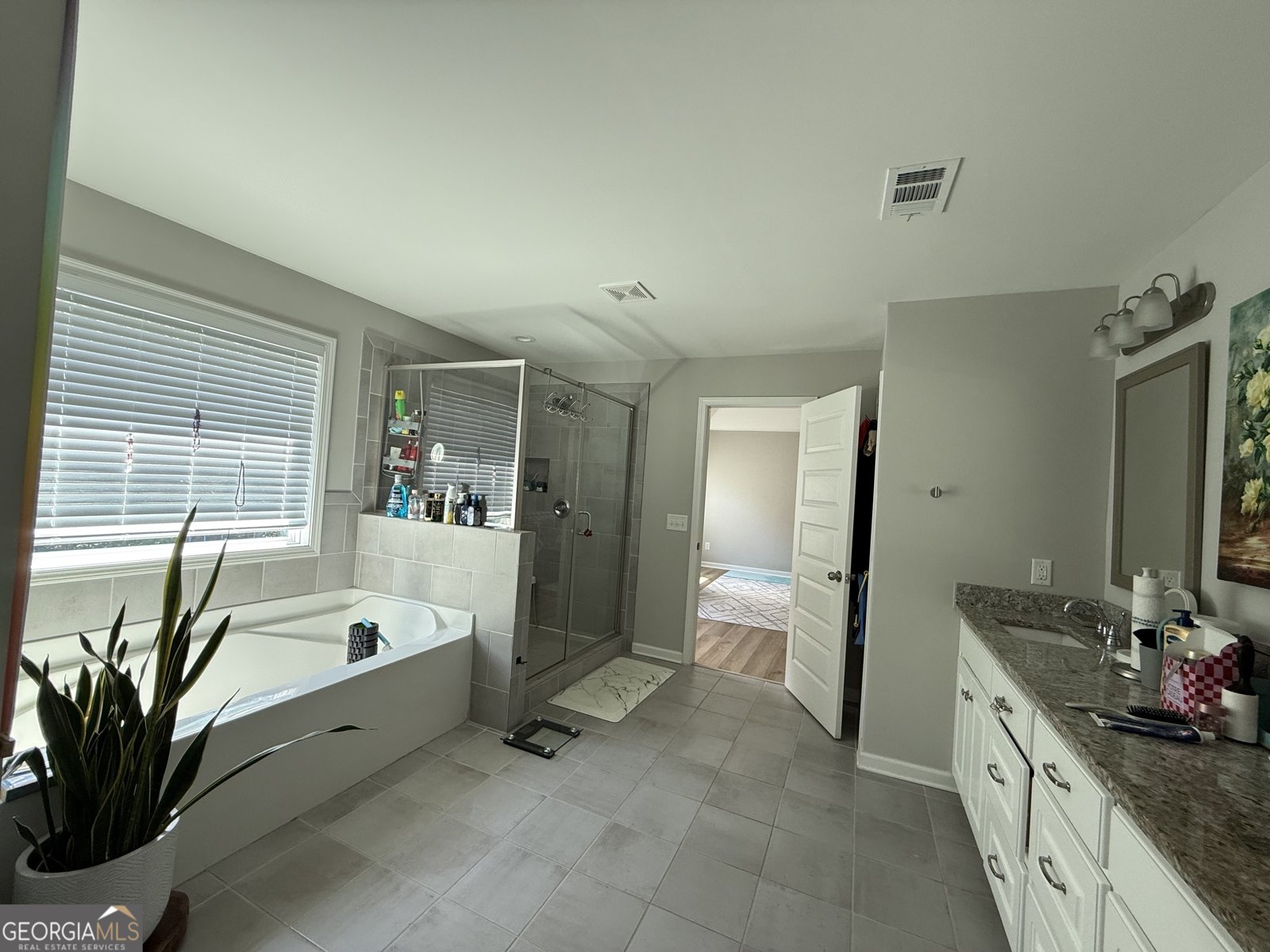 210 FENWICK FARM Drive Lagrange - 10
