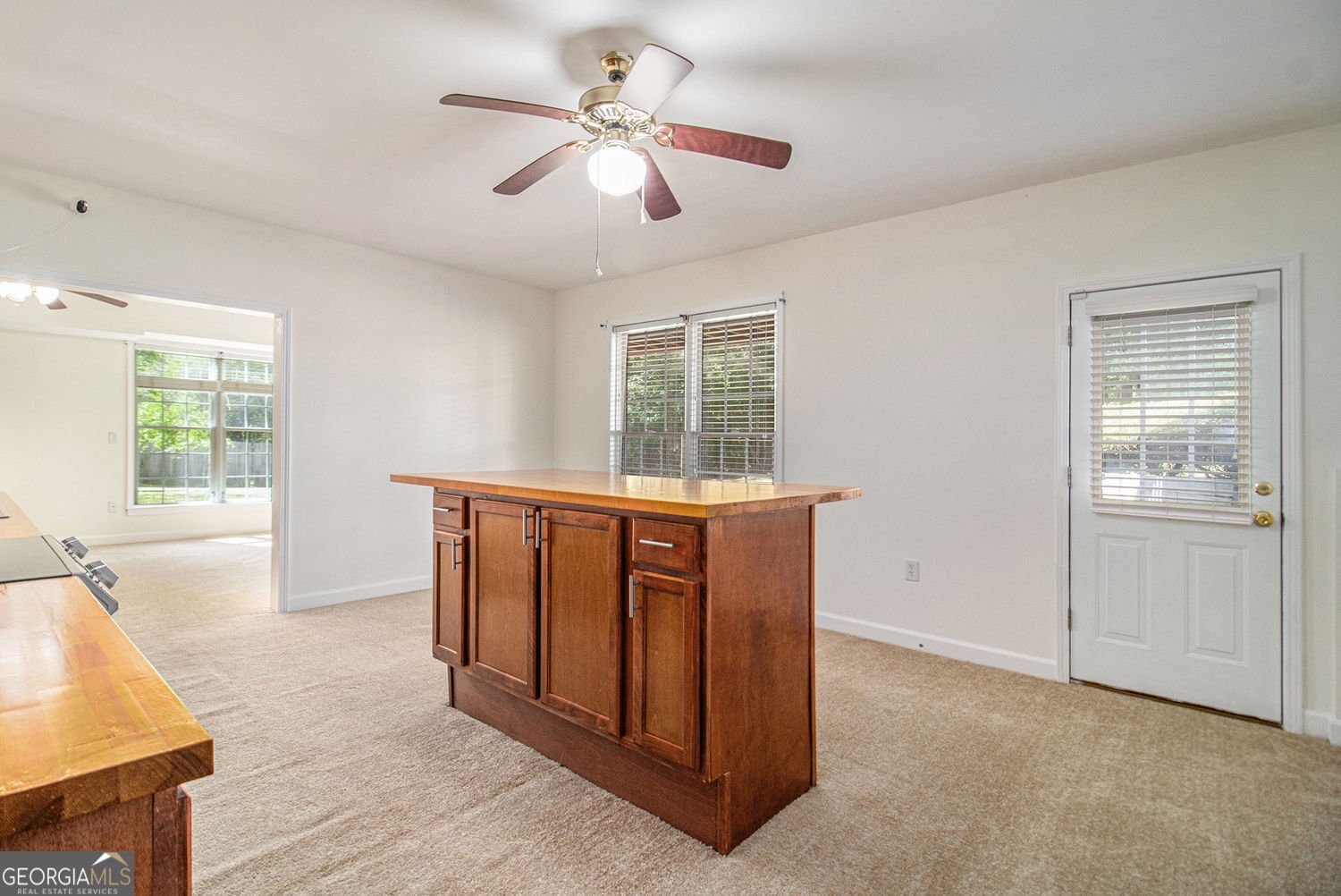 225 S Shore Terrace Fayetteville - 32